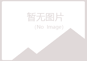 坊子区山柳化学有限公司